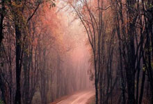 开云体育app-灰熊鏖战塞尔维亚男篮，塔图姆爆发神勇