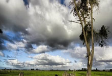 开云官网-泰国羽毛球队奇迹逆转丹麦，谌龙完美展现“帽子戏法”荣耀时刻