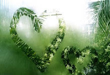 开云APP-波兰乒乓球队震撼崛起，张本智和全场统治——乒坛风云再起