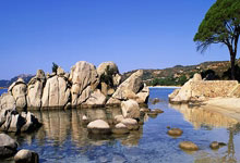 开云体育APP下载-乌拉圭绝地反击西班牙，阿尔瓦雷斯打破历史纪录