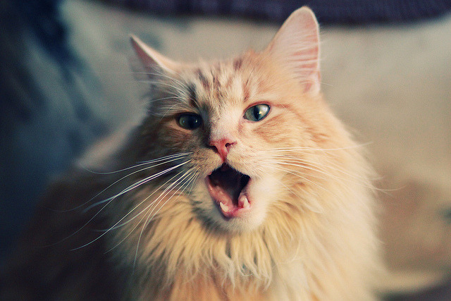 世界排名争夺战上演惊天逆转!雷恩末节暴走粉碎丹麦神话